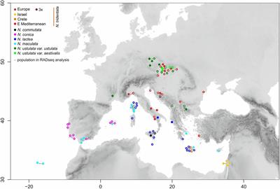 Integrative Study of Genotypic and Phenotypic Diversity in the Eurasian Orchid Genus Neotinea